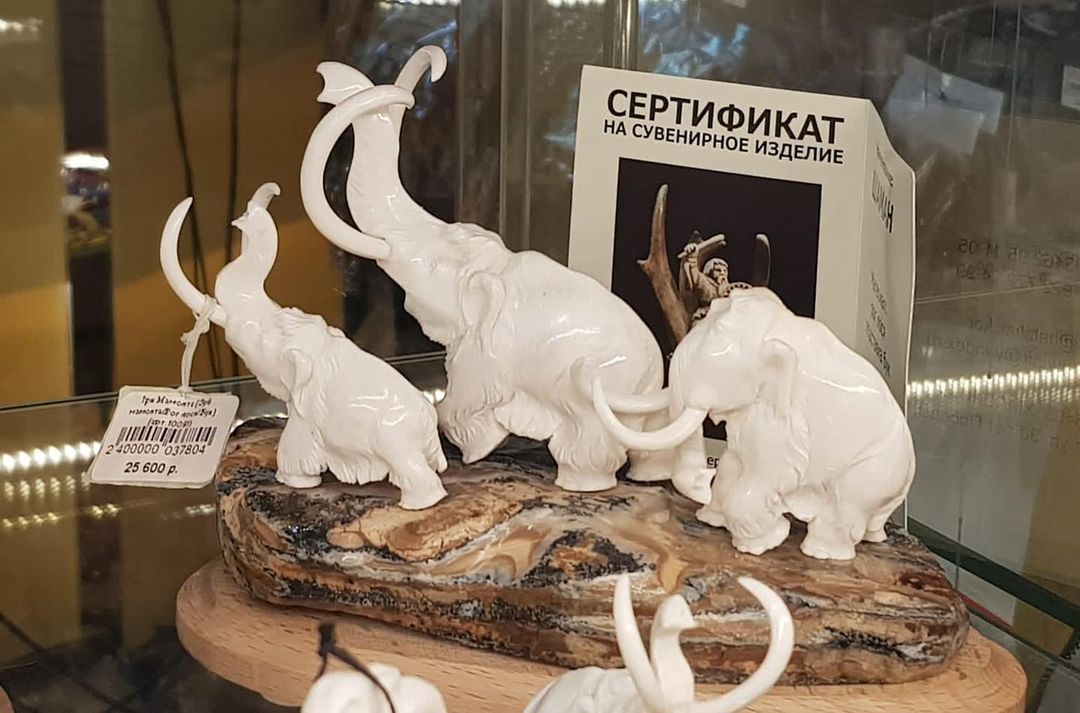 Заголовок