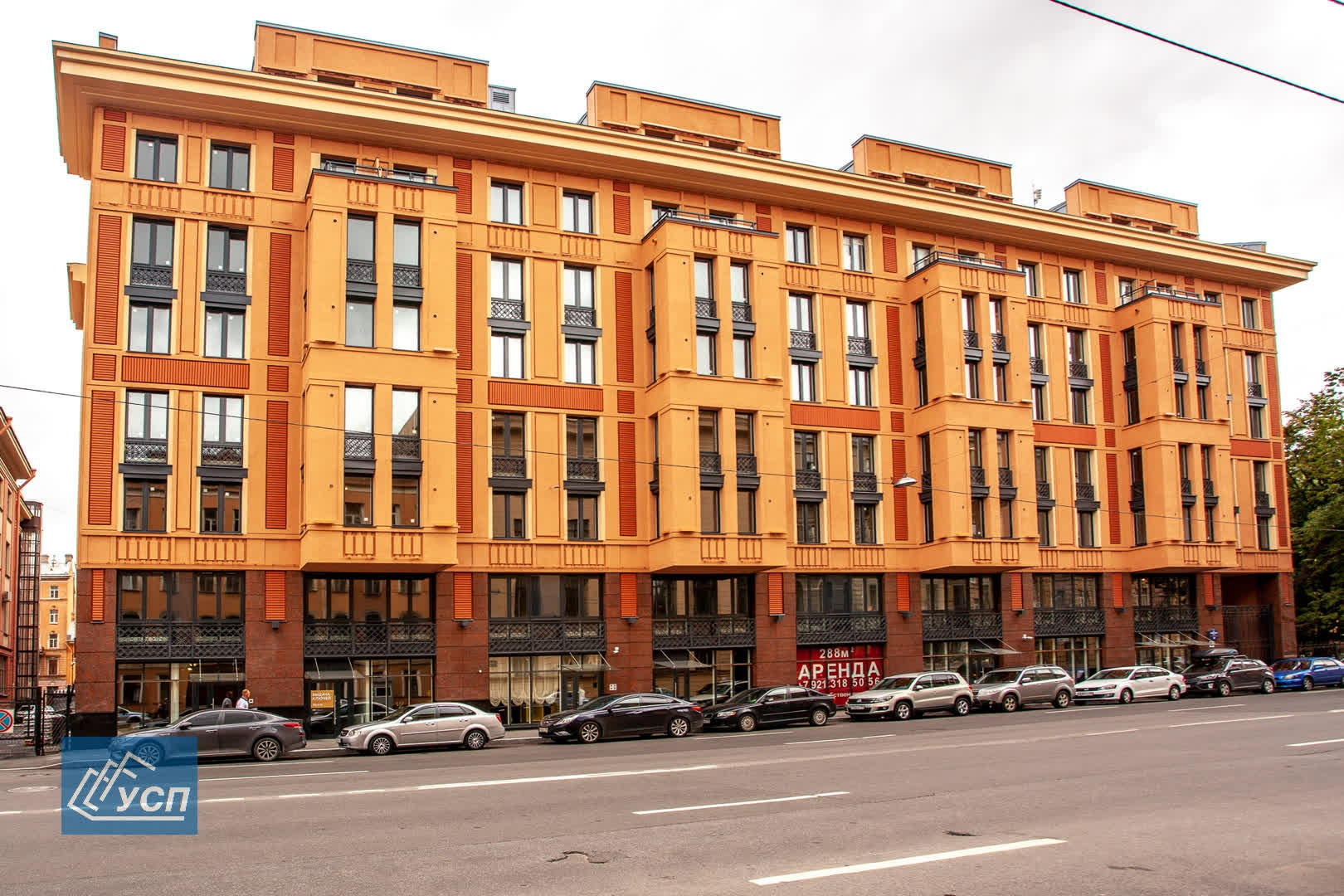 Портрет человека