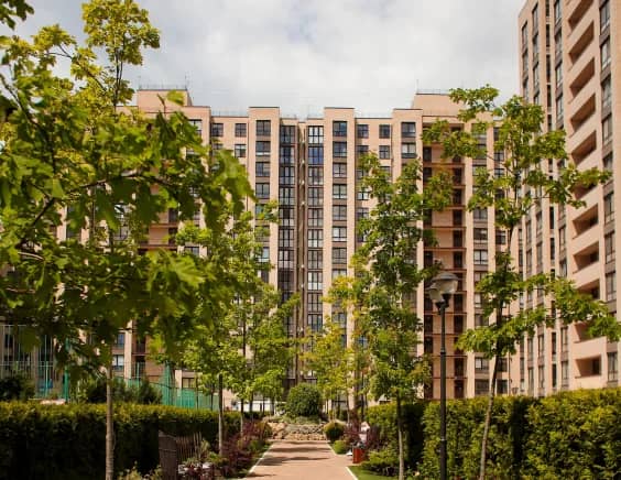 Портрет человека